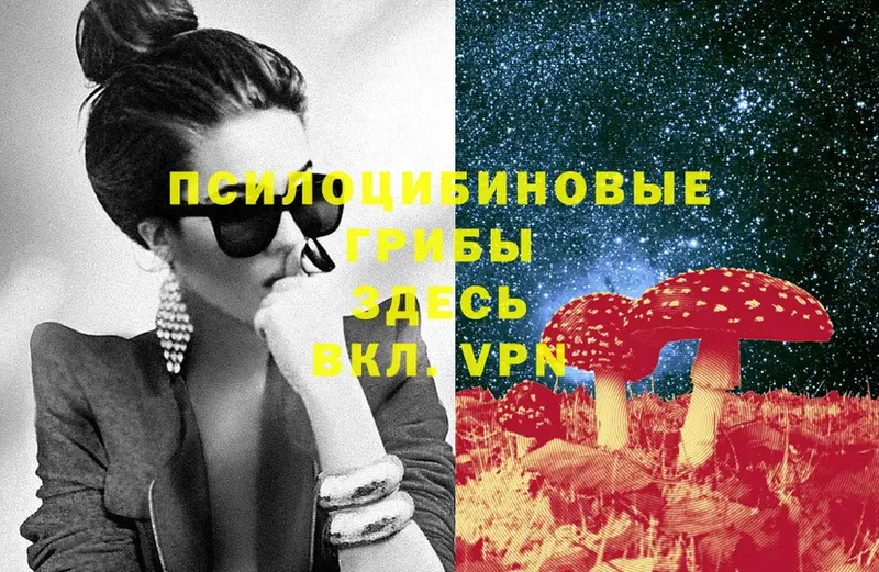 Псилоцибиновые грибы Cubensis  Адыгейск 